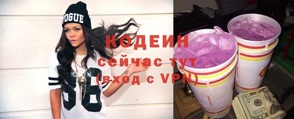 мдпв Бородино