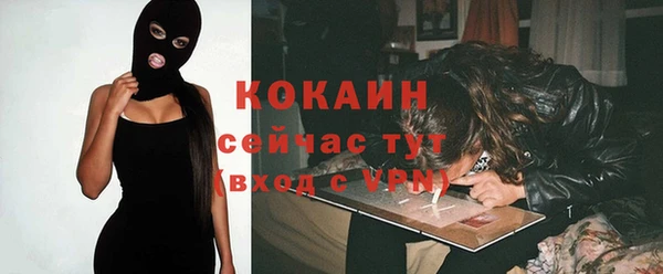 мдпв Бородино