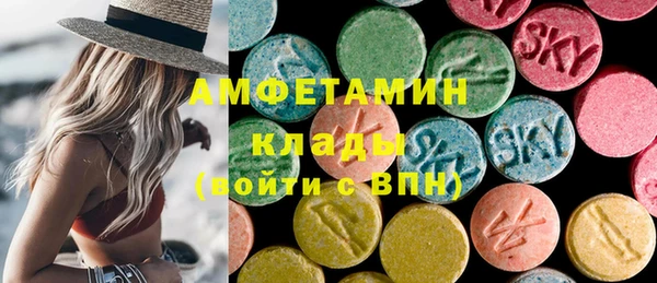 мдпв Бородино