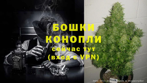 гидра Богородск