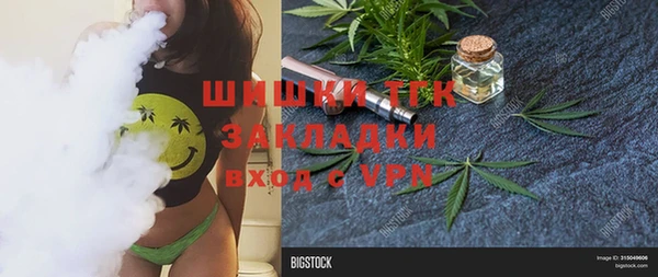 мдпв Бородино