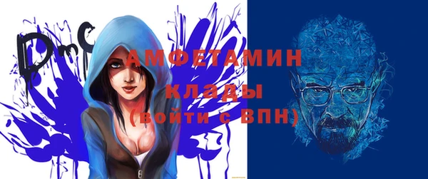 мдпв Бородино
